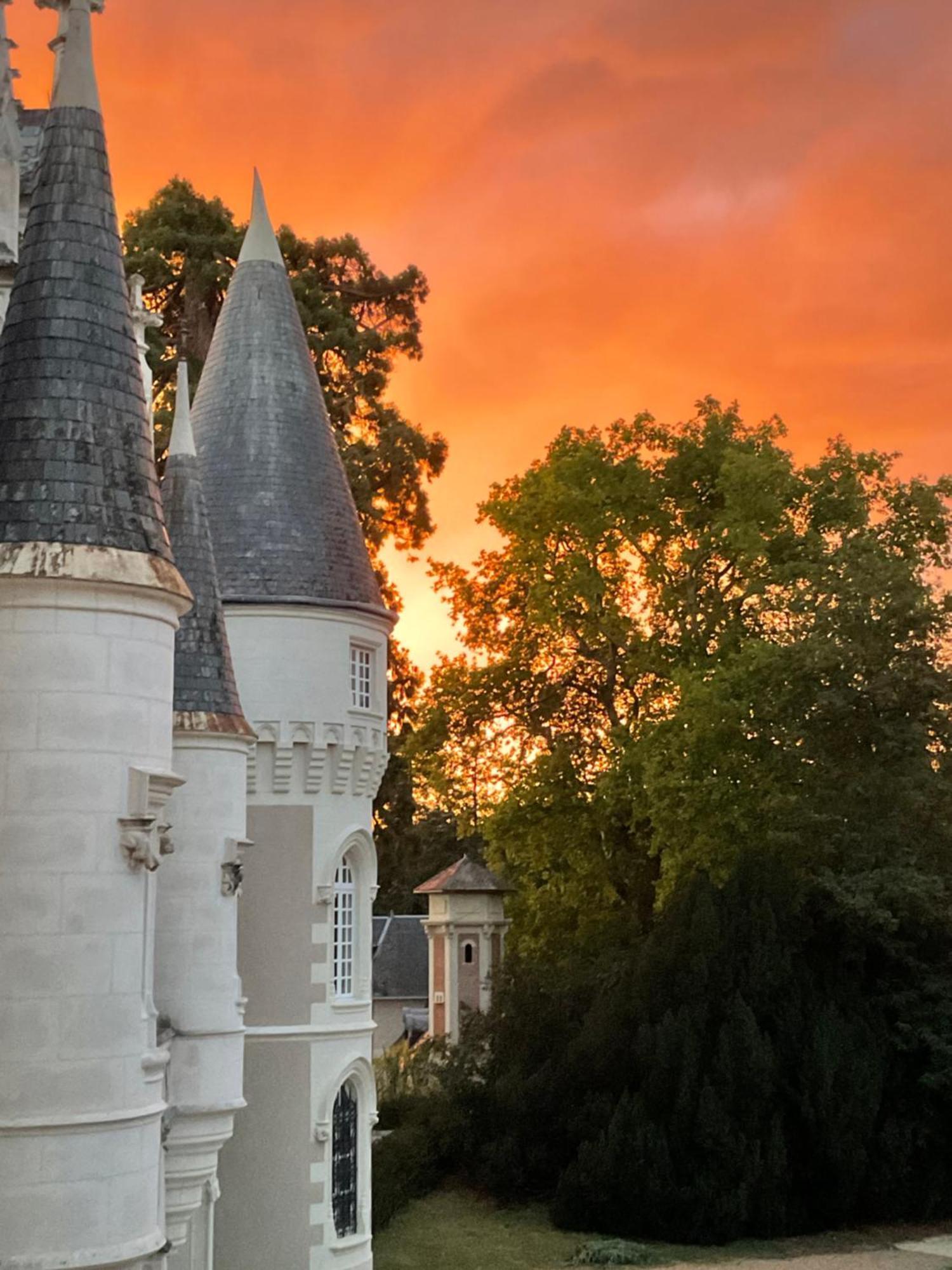 Chateau De Beauvais Azay-sur-Cher Zewnętrze zdjęcie